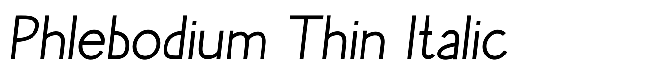 Phlebodium Thin Italic